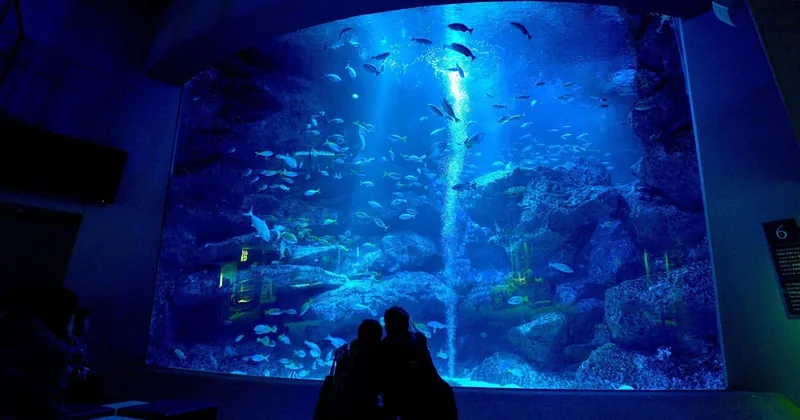 スカイツリー＆すみだ水族館 エンジョイパック