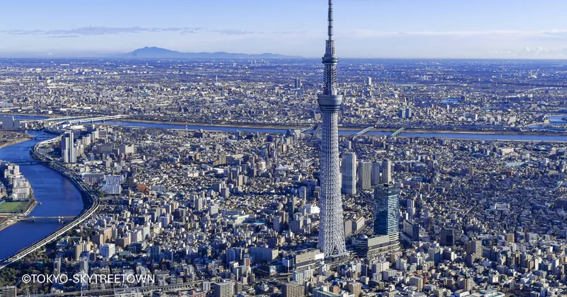 ランチ＆スカイツリー付き東京バス日帰りツアー